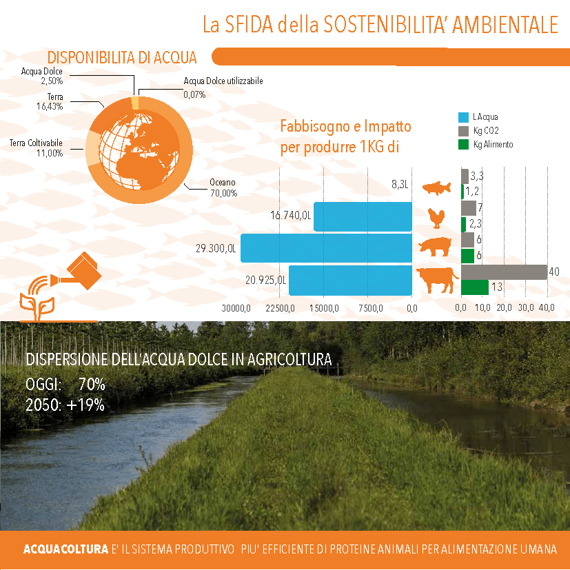 Sostenibilità Ambientale